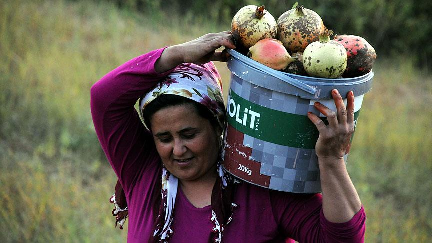 Nar taneleri 'kınalı eller'de ekşiyor