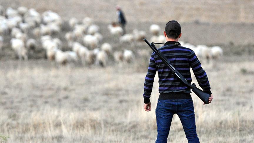 Shepherd killed in PKK attack in SE Turkey
