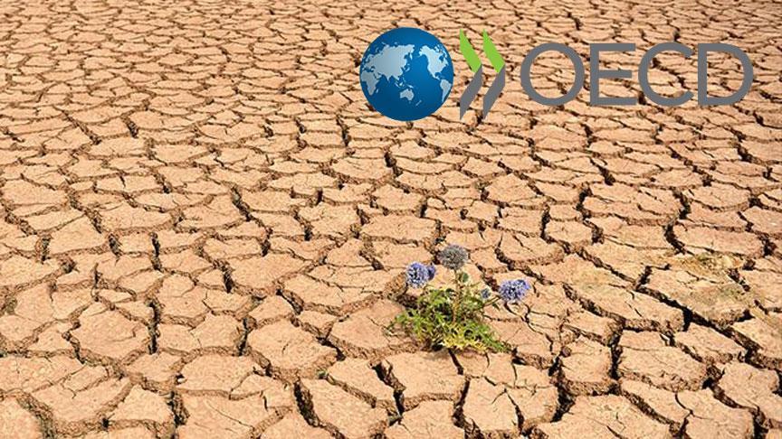 OECD'den küresel ısınma uyarısı