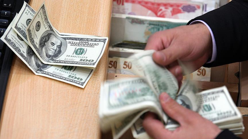 Dolar/TL 3'ün üzerine çıktı