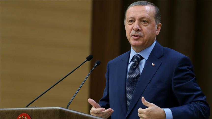 Turkey continues to grow, despite ratings: Erdogan