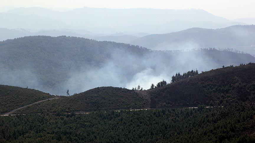 Rejim güçleri Cebel Ekrad'a kara harekatı başlattı