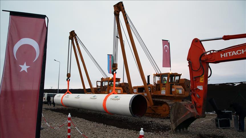 TransAnatolian Natural Gas Pipeline on track: TANAP CEO