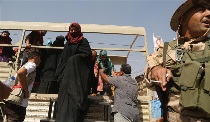 Iraqi army, allies take strategic Anbar road from Daesh