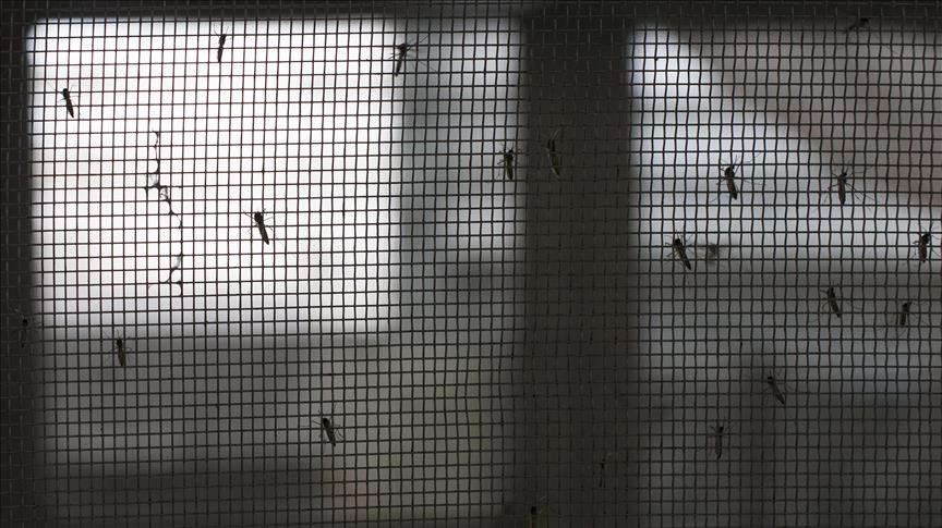 Zika infections at ‘epidemic' in Vietnam's largest city