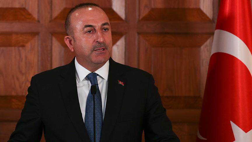 Turkish FM says Raqqa should be taken by 'local forces'