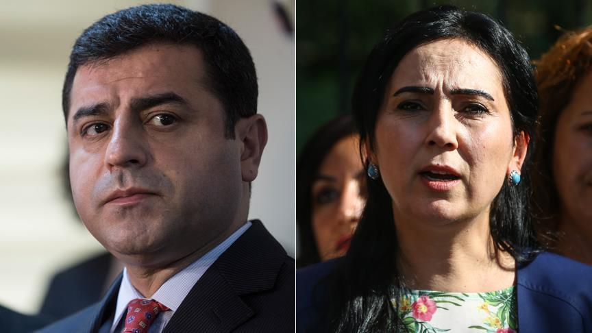 Сопредседатели Демпартии народов Турции арестованы по решению суда 