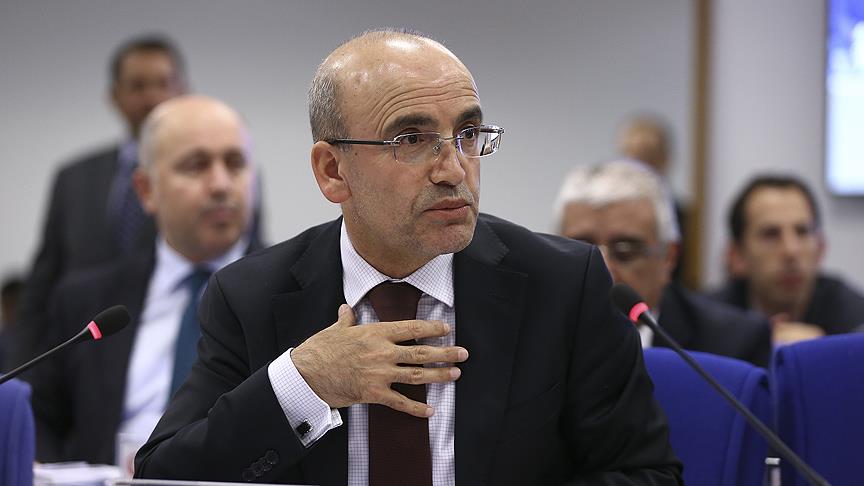 Başbakan Yardımcısı Şimşek'ten BES açıklaması