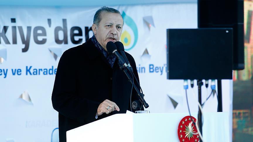 Erdogan calls on Turkish entrepreneurs to invest