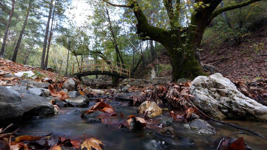  "موغلا" التركية عاصمة السياحة الخريفية 