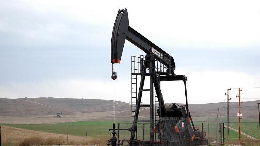  4 شركات عالمية تفوز بمزايدة للتنقيب عن البترول في مصر
