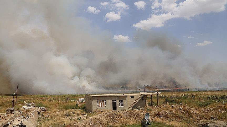 Теракт в Мосуле: 12 погибших