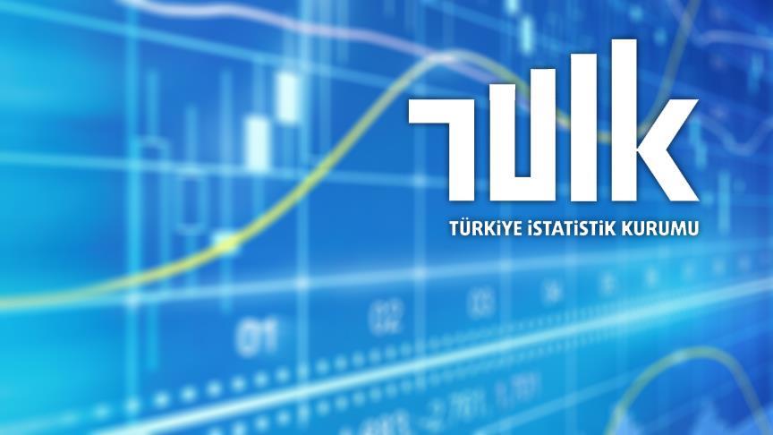 TÜİK revizyon çalışması sonrası verileri açıkladı
