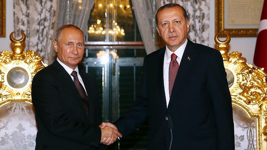 Erdogan calls Putin over Syria, Russian plane crash
