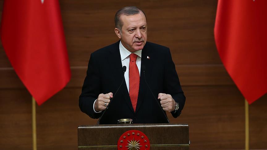Erdogan: Turkey, Russia making progress on Syria peace
