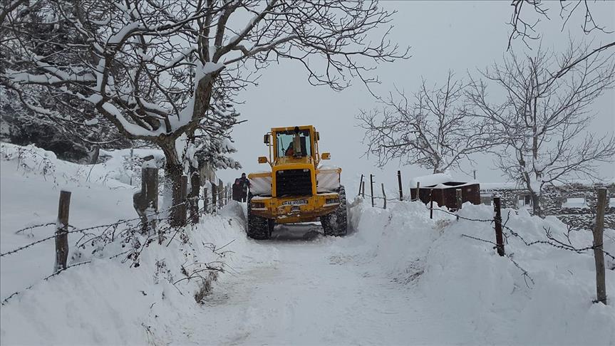 Reshje bore në disa qytete të Shqipërisë