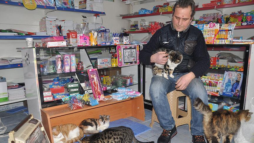 Sokak kedilerini iş yerinde soğuktan koruyor