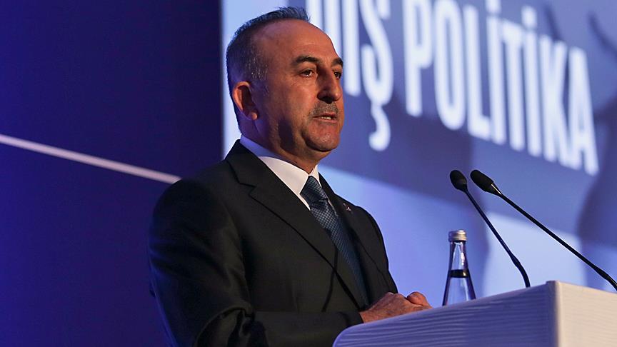 Turkey expects US solidarity on terrorist YPG, FETO: FM