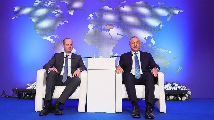 Turkey backs Georgia's territorial integrity: FM