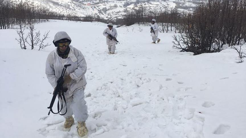 Tunceli'de terör örgütlerinin 'kış üslenmesi'ne ağır darbe