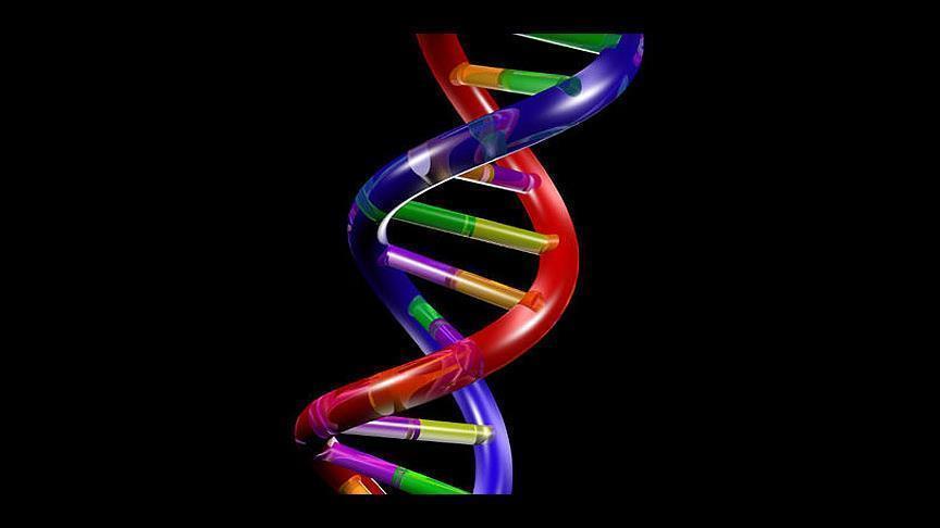 САД: Нобеловецот Оливер Смитис почина во 91. година