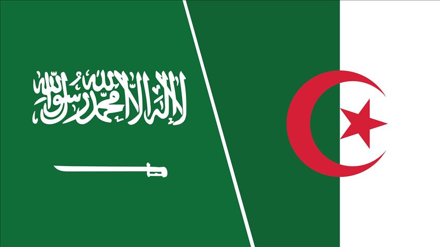 المحور الجزائري السعودي.. حركية دبلوماسية تغلب مواقف سياسية متباينة