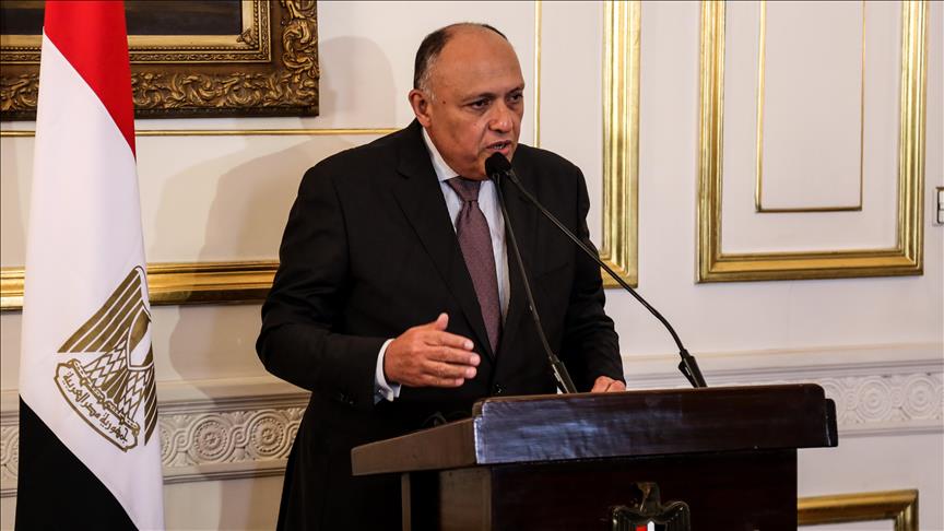 نشست وزرای خارجه کشورهای همسایه لیبی در قاهره 