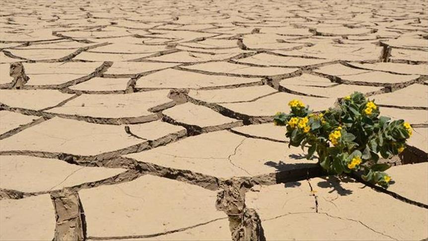 التصحر والجفاف يهددان حياة 1 5 مليار شخص في 110 بلدان وزير