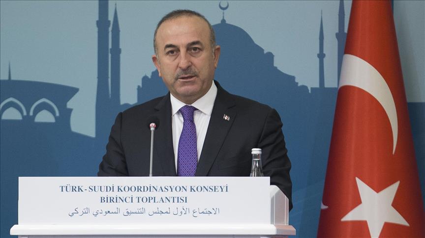 Cavusoglu proposes Turkish special forces for Raqqah