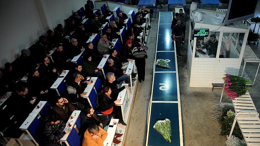 Çiçek mezatlarında 'Sevgililer Günü' hareketliliği