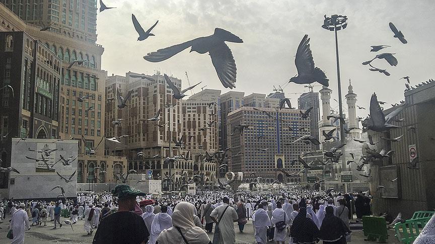 توقعات ببلوغ قطاع السياحة السعودي 81 مليار دولار في 2026