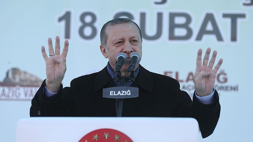 Turkey needs energy of youths in parliament: Erdogan