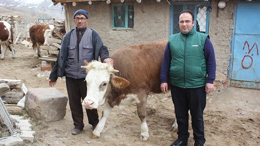 Türk bilim adamının mikroçipi 'Sarıkız'ı kurtardı