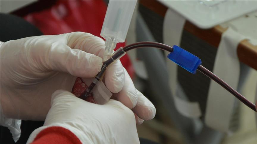 US researchers print functioning blood vessels