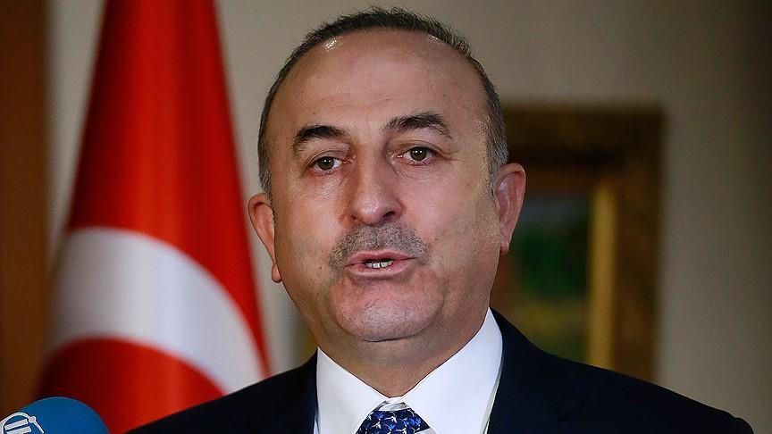  Turkish FM criticizes Netherlands over rally ban