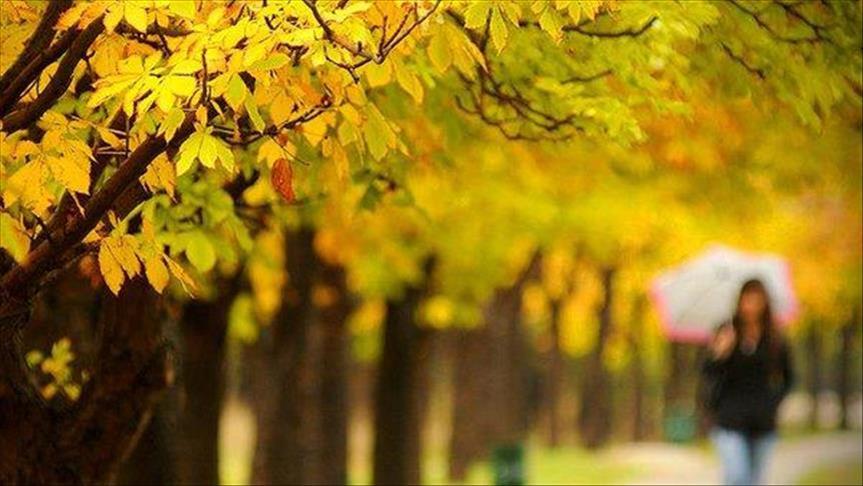 ساعة ونصف من التأمل أسبوعيًا تحد من أعراض الاكتئاب (دراسة)