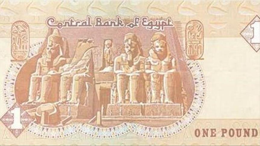 الدولار يصعد 10% أمام الجنيه المصري خلال أسبوع