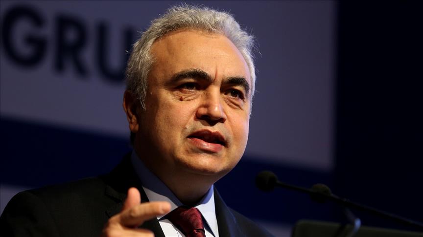 Turkey must play role in Iraq, East Med. gas: IEA head