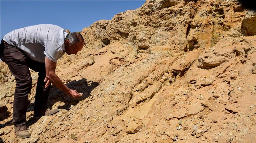 الإنسان "العاقل" عاش بتونس قبل 100 ألف سنة