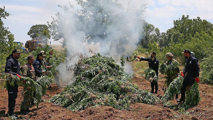 PKK terrorists earn $500M from drugs, Turkey says
