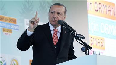 اردوغان: اروپا معیارهای خود را پایمال می‌کند 