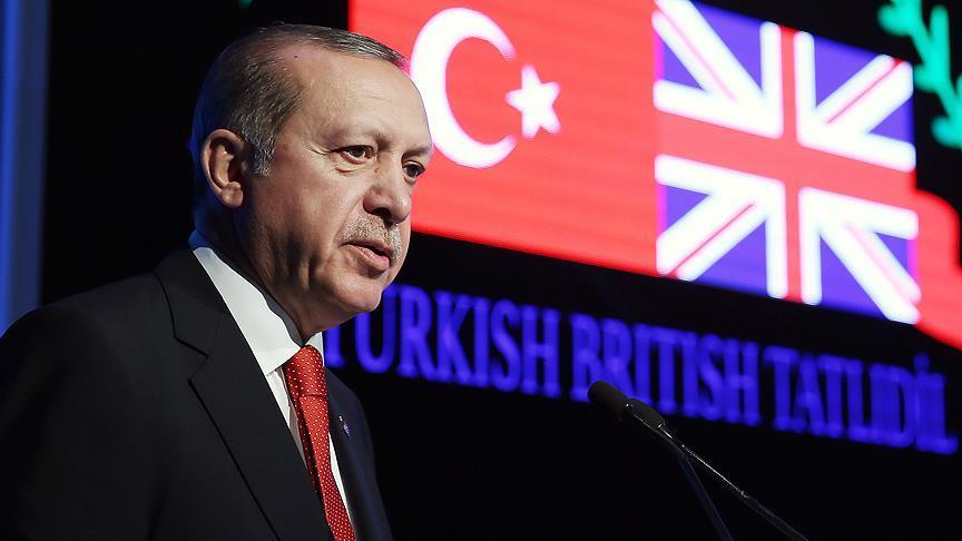 Erdogan: Turkey may have Brexit-like referendum on EU