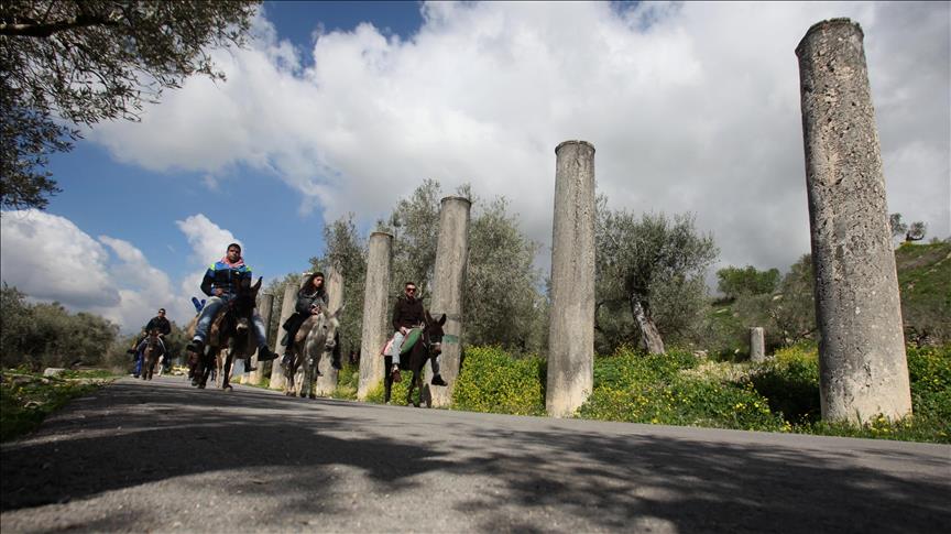 Palestina: Hodoljubljem na magarcima mladi uče o domovini i historiji