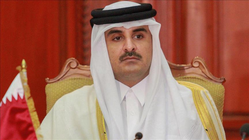 Qatar's emir meets new Turkish ambassador