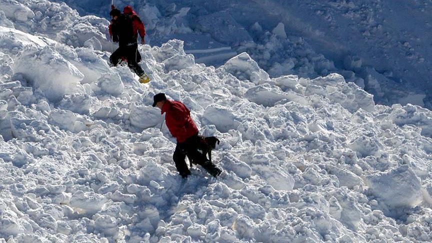 Japan: Nakon lavine u skijaškom centru spasilačke službe izvukle 40 povrijeđenih