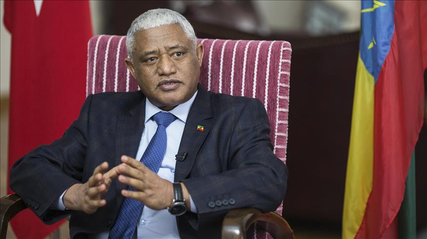 Turkey backs African development, says Ethiopian envoy