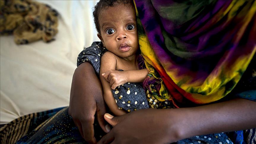 Drought-hit Somalia reels under drop in US remittances 