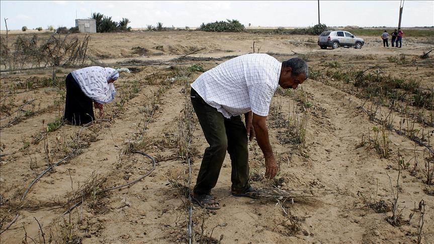Israel sprays pesticides along Gaza border