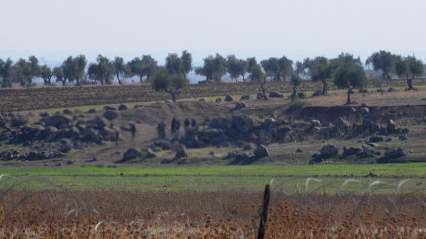 Turkish forces detain 43 for entering military zone