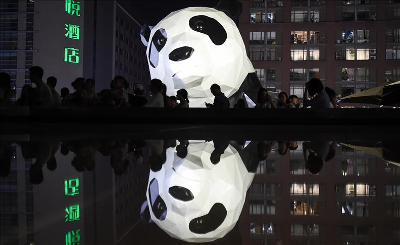 Kina: Velika panda kao upozorenje na neophodnost zaštite ugroženih vrsta